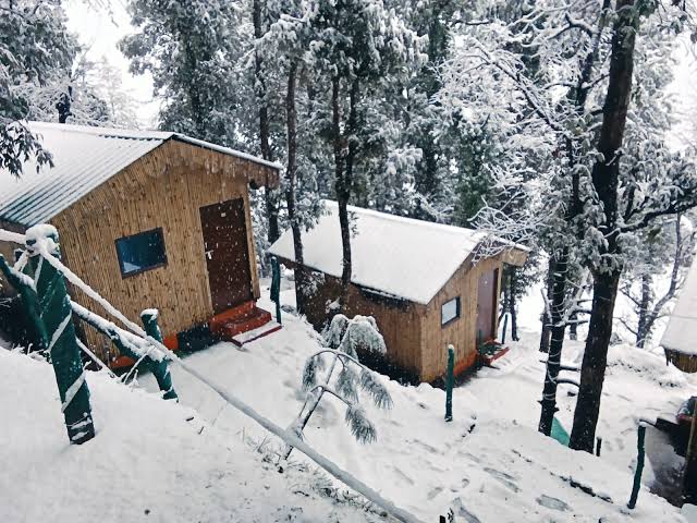 TTN - The Trekker's Nest